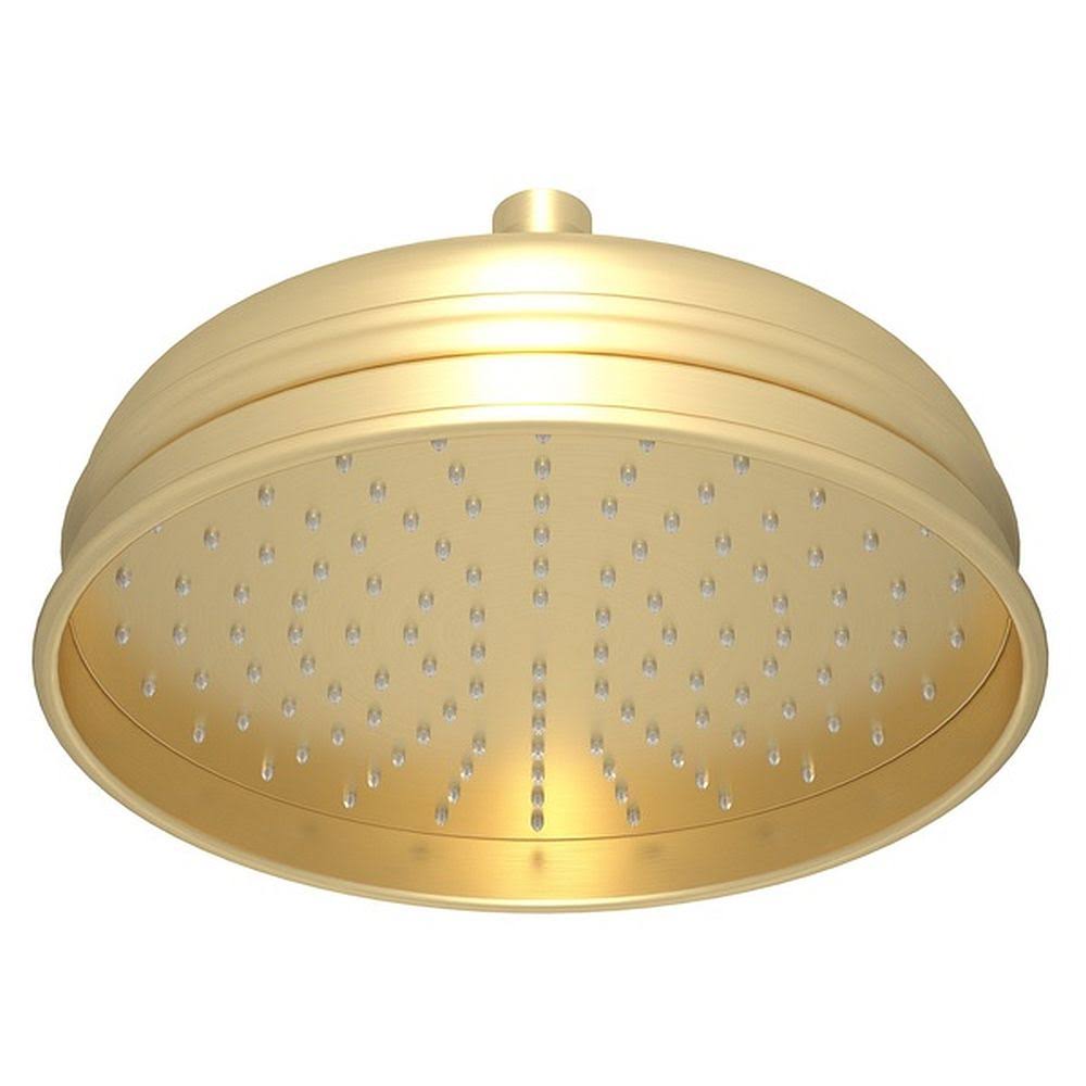 Satin Unlacquered Brass Showerhead D84400