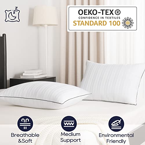 Down Alternative Pillows King Size Set of 2 U889