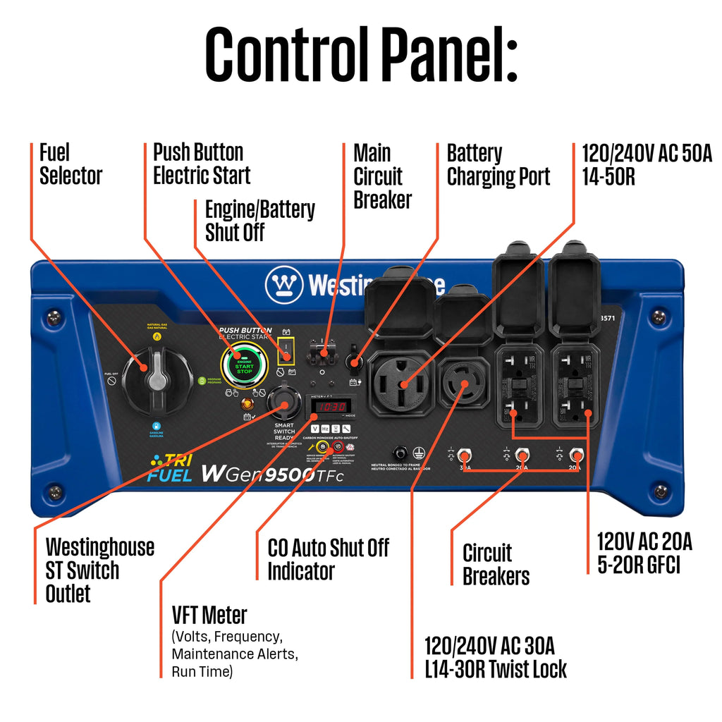 12,500 Peak Watt Dual Fuel Portable Generator P55014