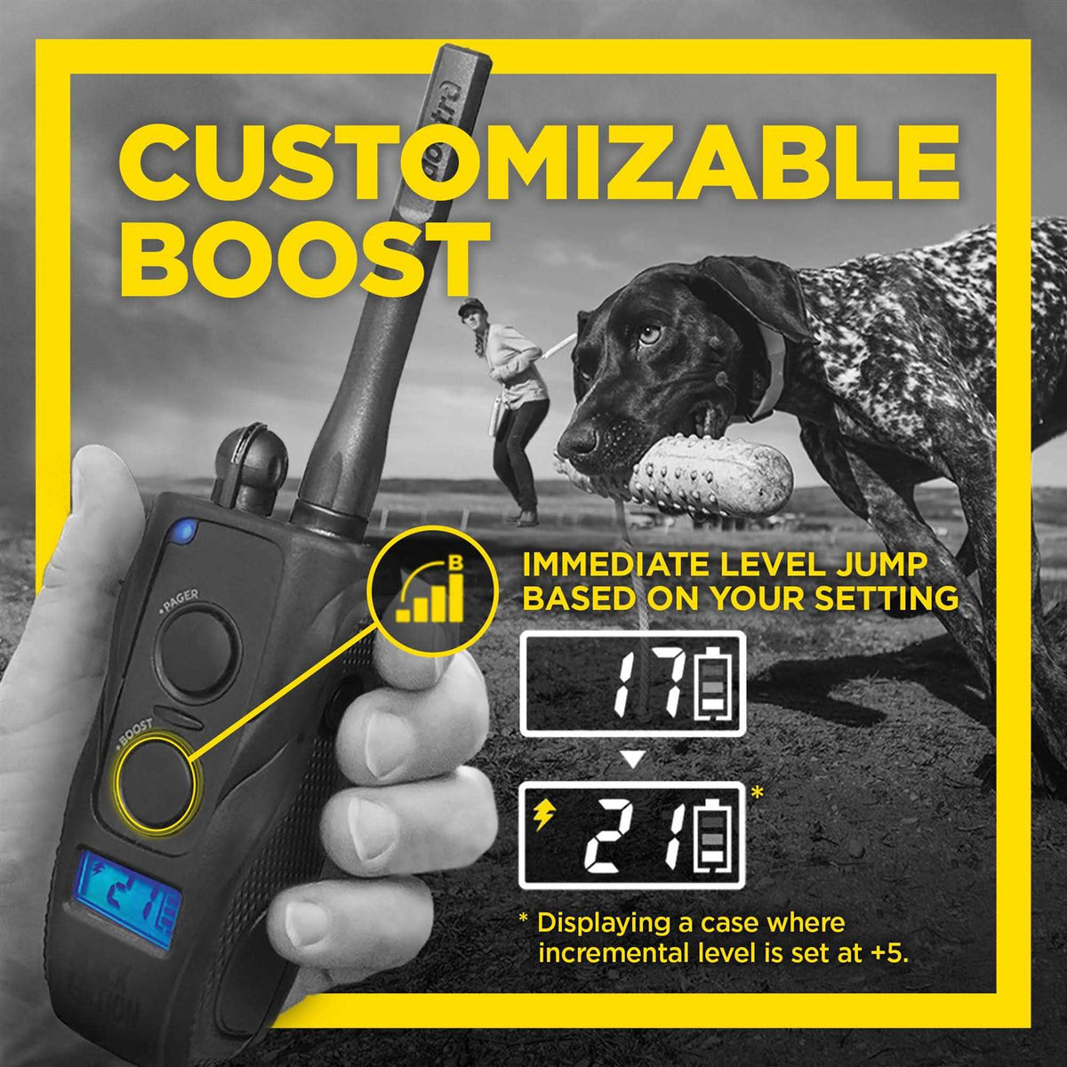 Black 1 Mile Remote Trainer Z43481