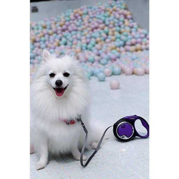 Retractable Leash S9855