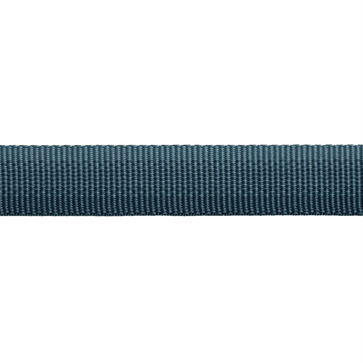 Dog Collar X385