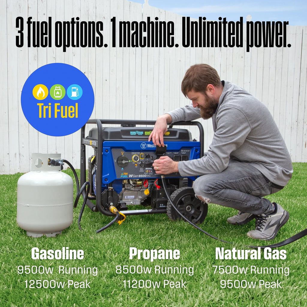 12,500 Peak Watt Dual Fuel Portable Generator P55014