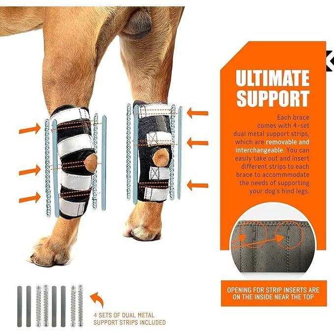 3-in-1 Long Rear Leg Support Dog Splint Braces O3045