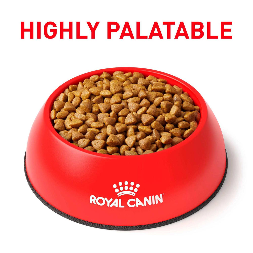 Calm Dry Food S873868