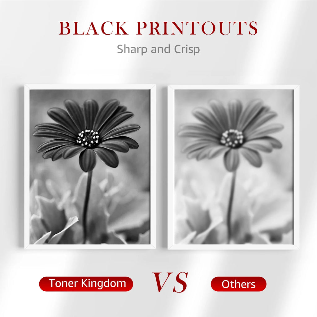 Black 2-Pack Toner W953