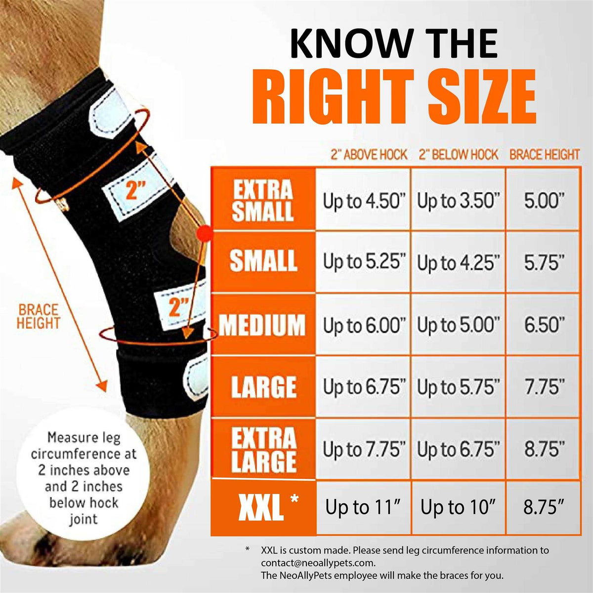 3-in-1 Long Rear Leg Support Dog Splint Braces O3045