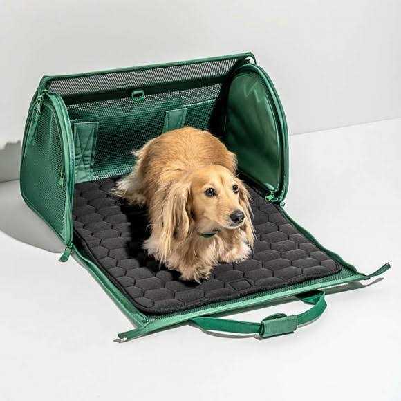 Pet Travel Carrier W48581