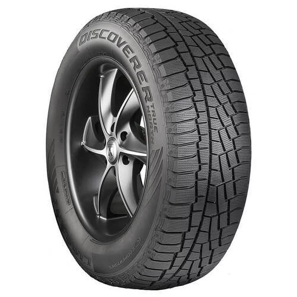 Winter 205/60R16 92H Passenger Tire N428