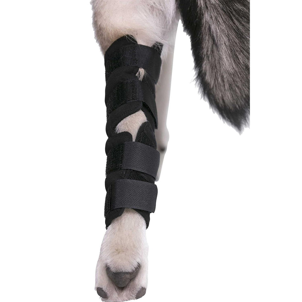 Dog Hock Brace Rear Leg Joint Wrap Y72329