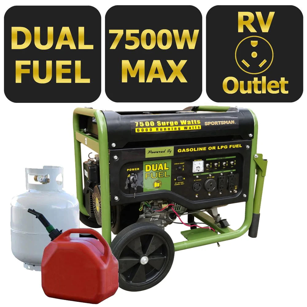 7500 Watts Dual Fuel Portable Generator S309