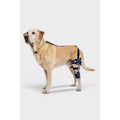 Adjustable Hinged Dog Knee Brace U45867