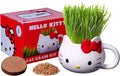 Organic Cat Grass Growing Kit with Seed Mix, Soil and Mug Planter X892