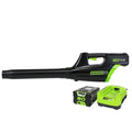 80V Cordless Blower with Battery and Charger W2444