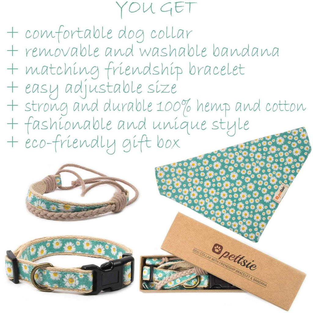 Matching Dog Collar, Bandana and Friendship Bracelet J666510