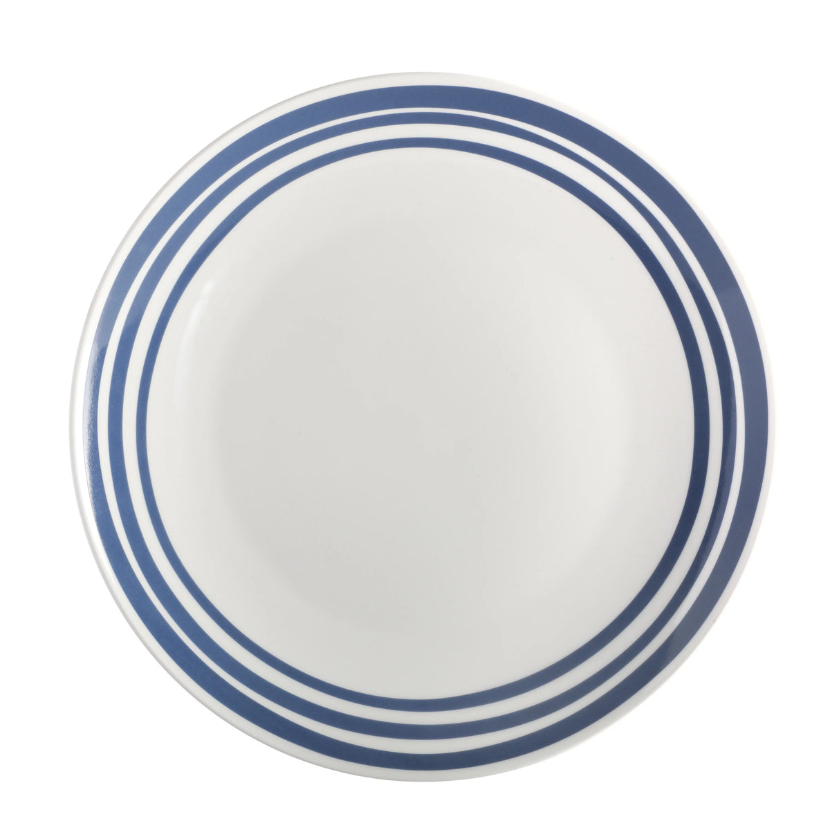 Light Blue 16-Pieces Fine China Dinnerware Set W391619