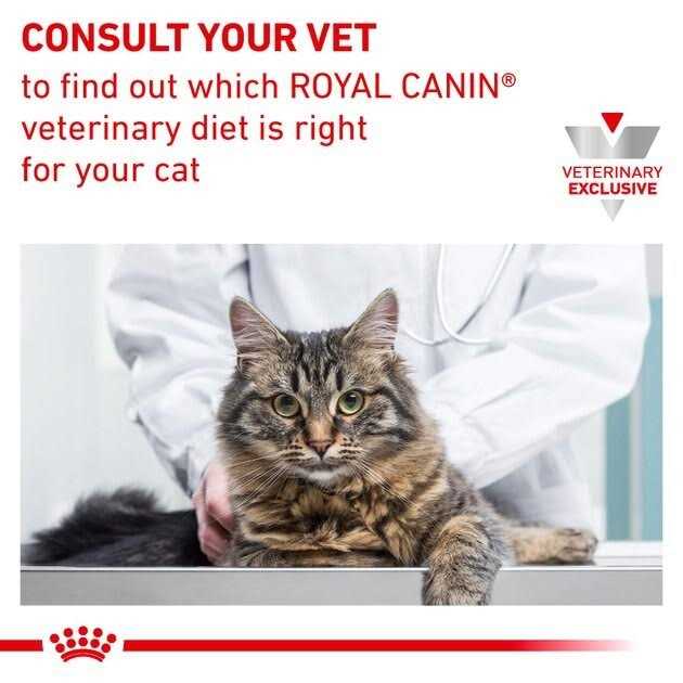 Calm Dry Food S873868