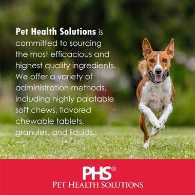 Cognitive Function Dogs Pet Supplies A8112