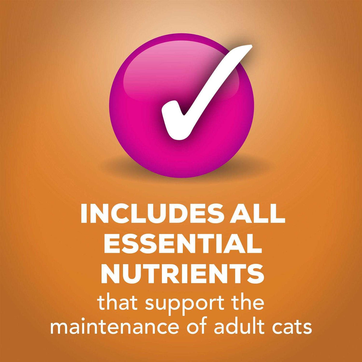 Wet Cat Food Gravy M442