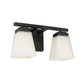 2 Light Bath Vanity Matte T469
