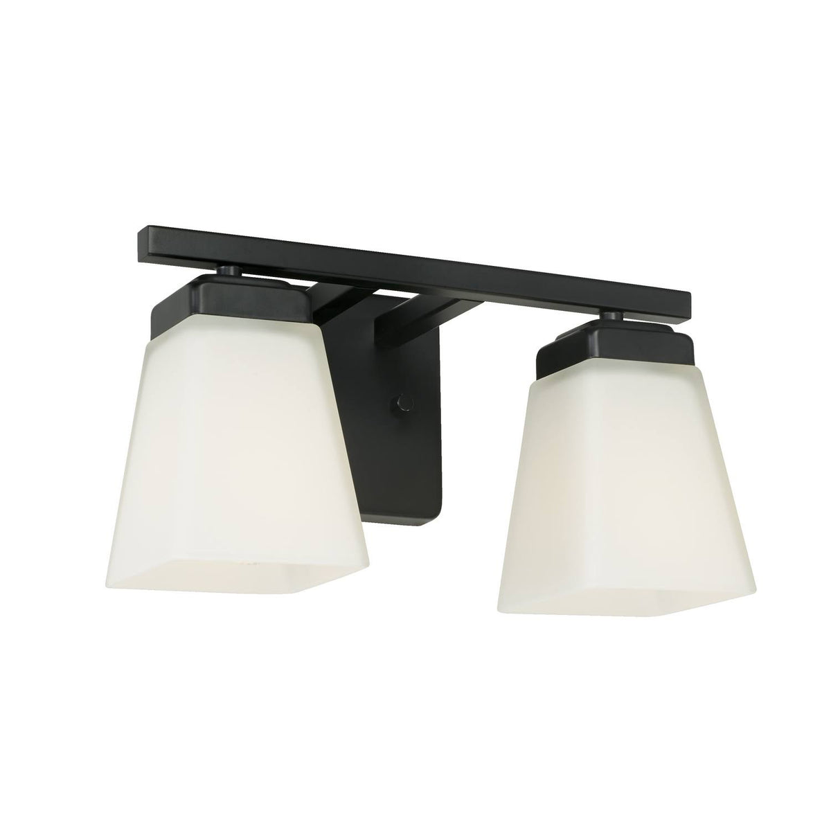 2 Light Bath Vanity Matte T469