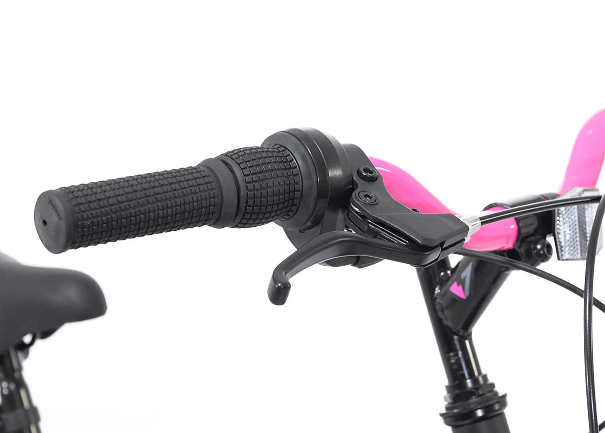 20-inch Girl's Mountain Child Bicycle V826