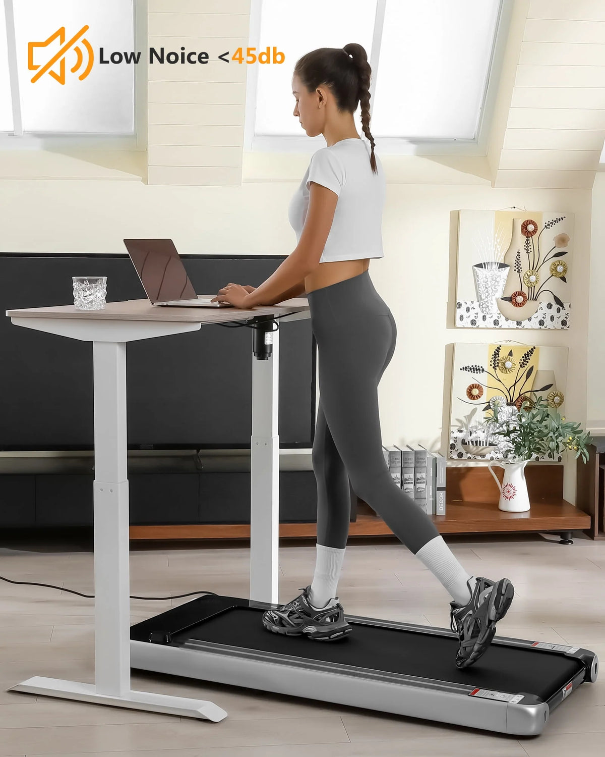 Desk Treadmill 2.5H with Remote Control LCD Monitor S40809
