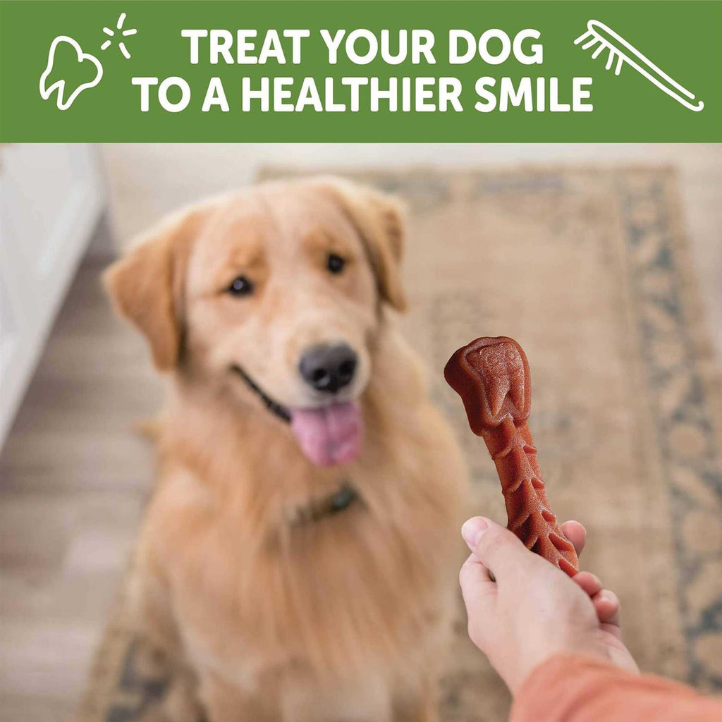 Dental Dog Treats Variety Pack Small Y52744