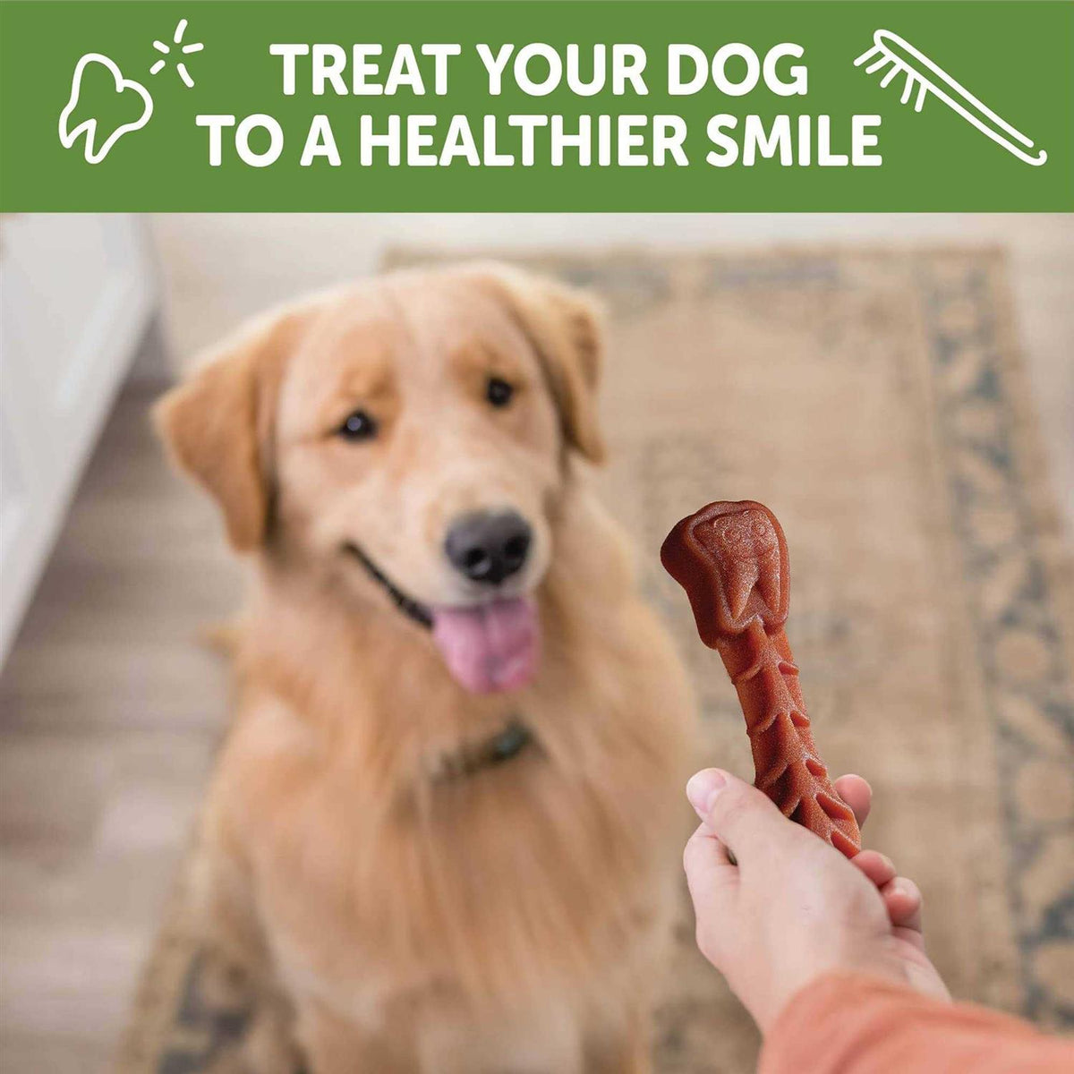 Dental Dog Treats Variety Pack Small Y52744