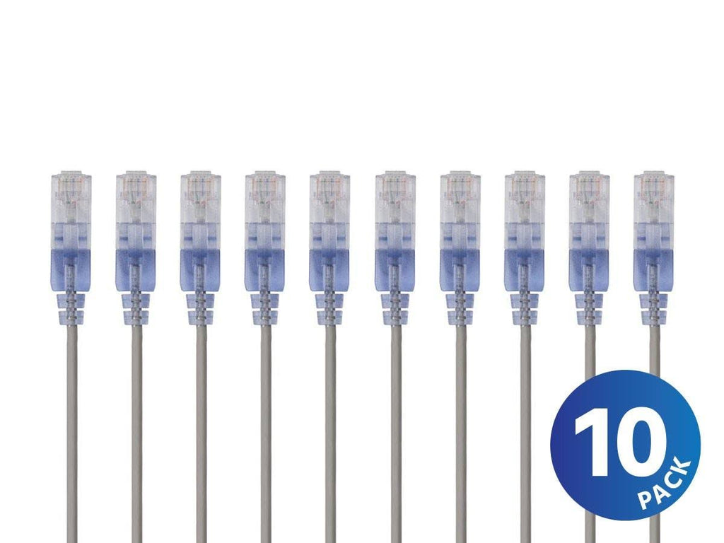 Cat6a Ethernet Network Patch Cable 30 Feet Gray 10-Pack L3031