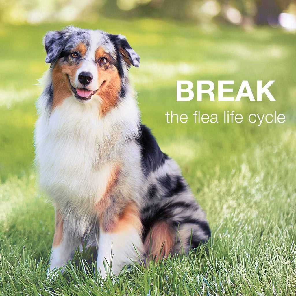 Advantage II for Dogs S524