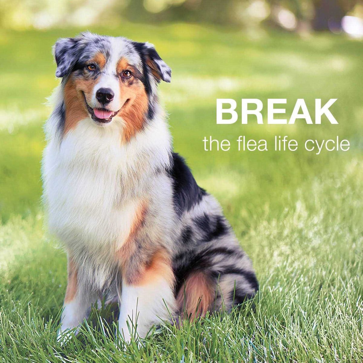 Advantage II for Dogs S524