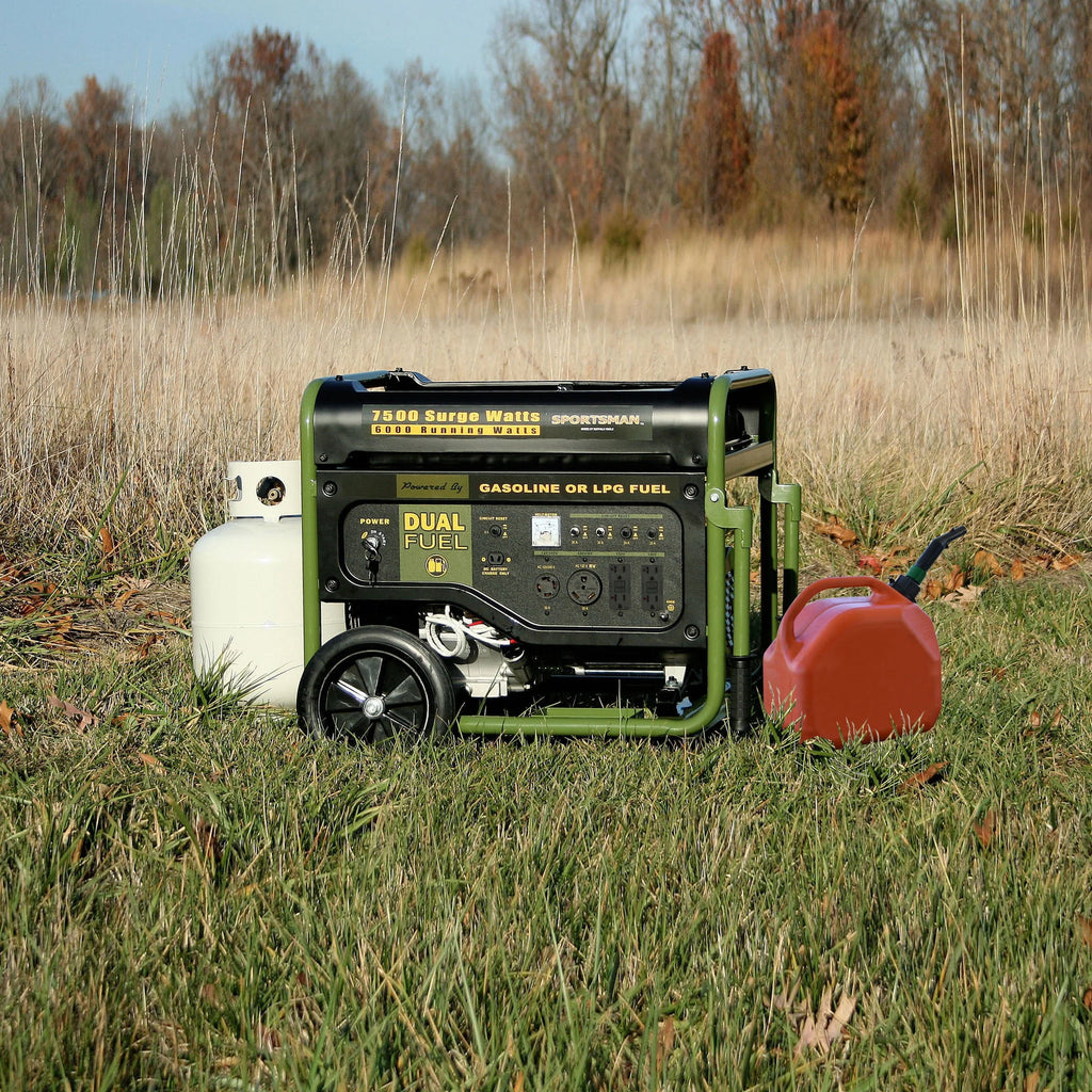 7500 Watts Dual Fuel Portable Generator S309