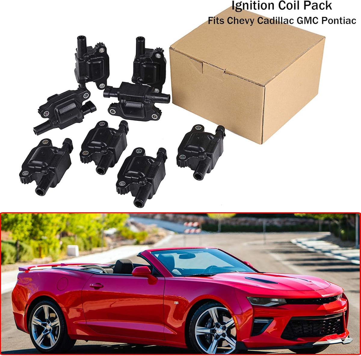 Ignition Coil Pack Set of 8 W29436
