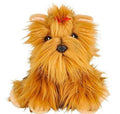 Yorkshire Terrier Case of 6 Z560