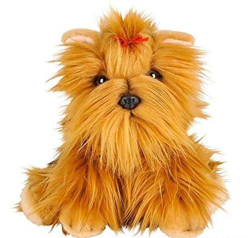 Yorkshire Terrier Case of 6 Z560