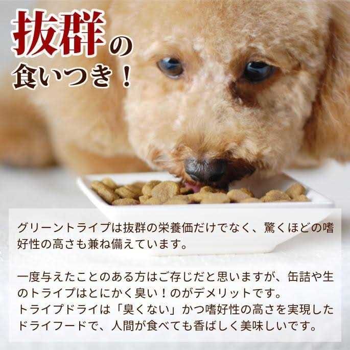 Beef Tripe Formula Dry Dog Food D4671