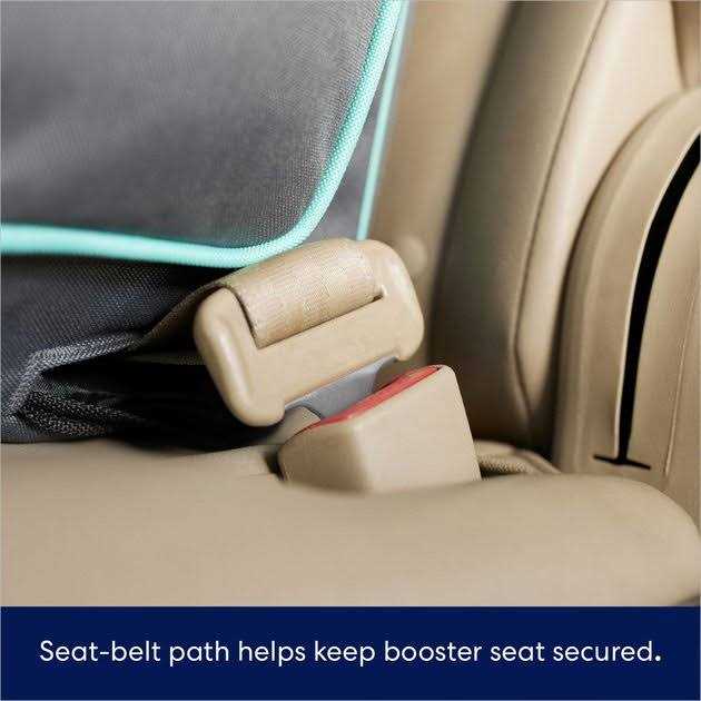 Travel Dog Booster Seat J185189