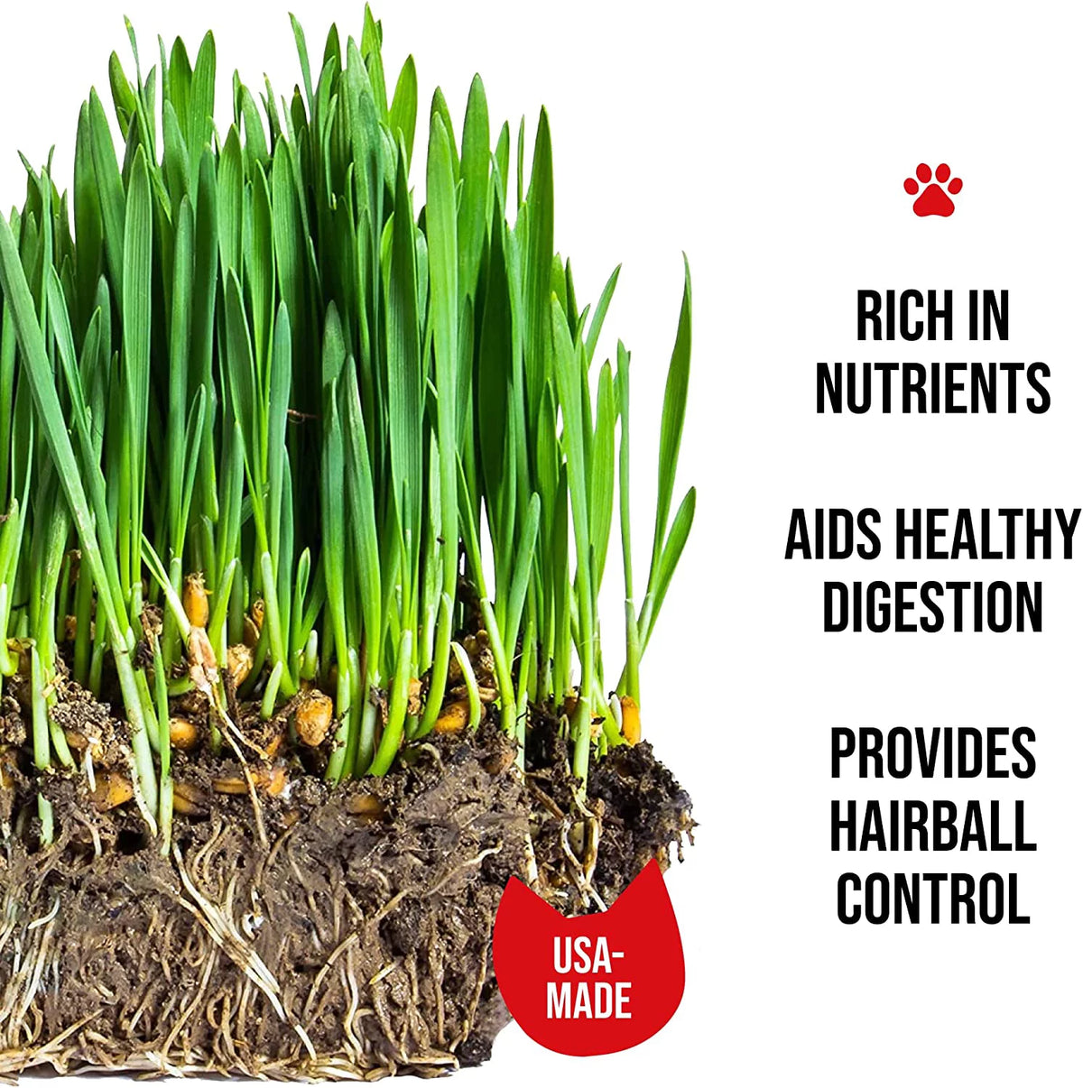 Organic Cat Grass Growing Kit with Seed Mix, Soil and Mug Planter X892