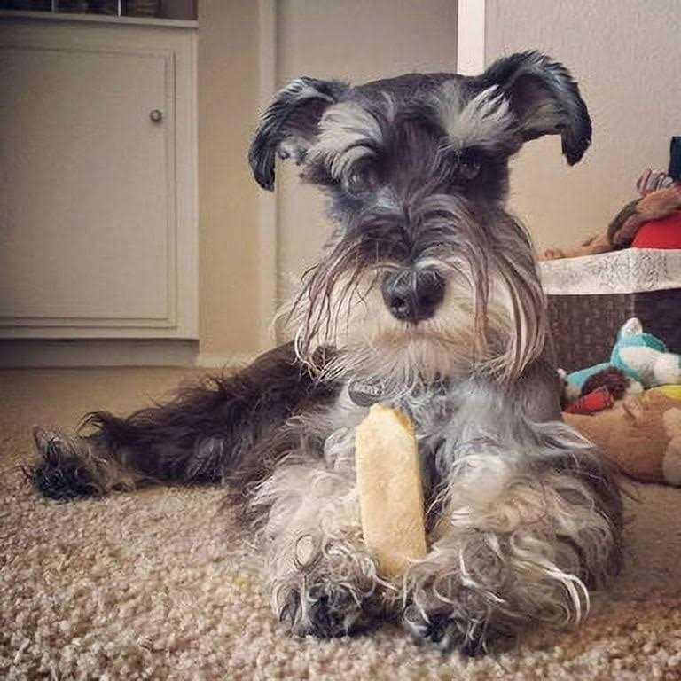 Yak Cheese Dog Chews V8538