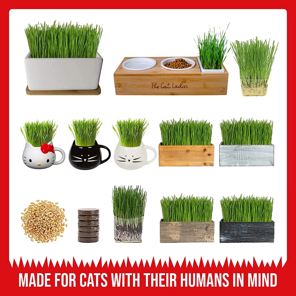 Organic Cat Grass Growing Kit with Seed Mix, Soil and Mug Planter X892