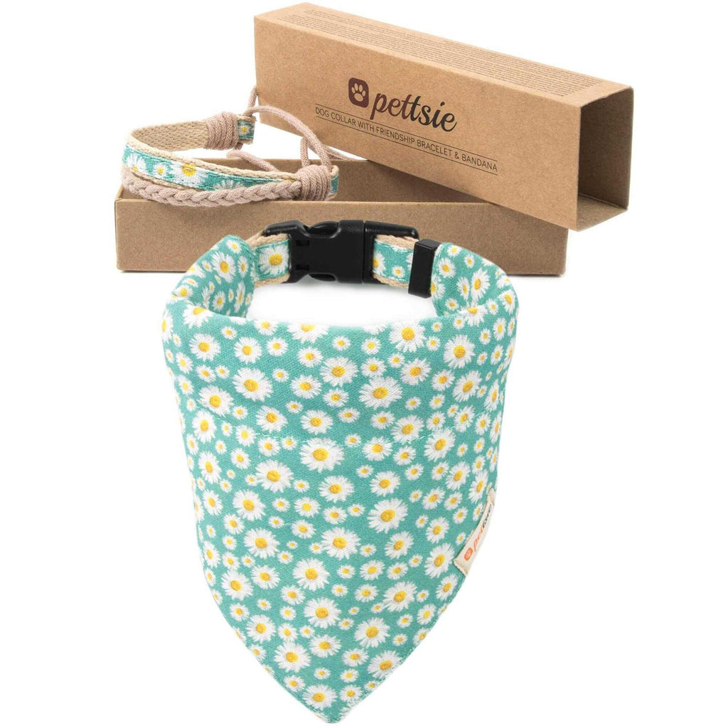 Matching Dog Collar, Bandana and Friendship Bracelet J666510