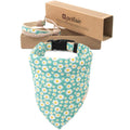 Matching Dog Collar, Bandana and Friendship Bracelet J666510