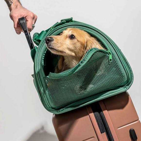 Pet Travel Carrier W48581