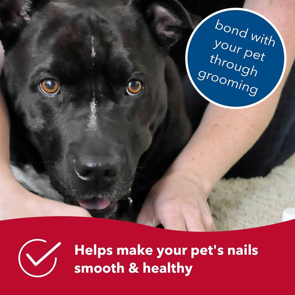 Diamond Dog Nail File E12523