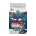 Salmon & Brown Rice Dry Cat Food Y7034