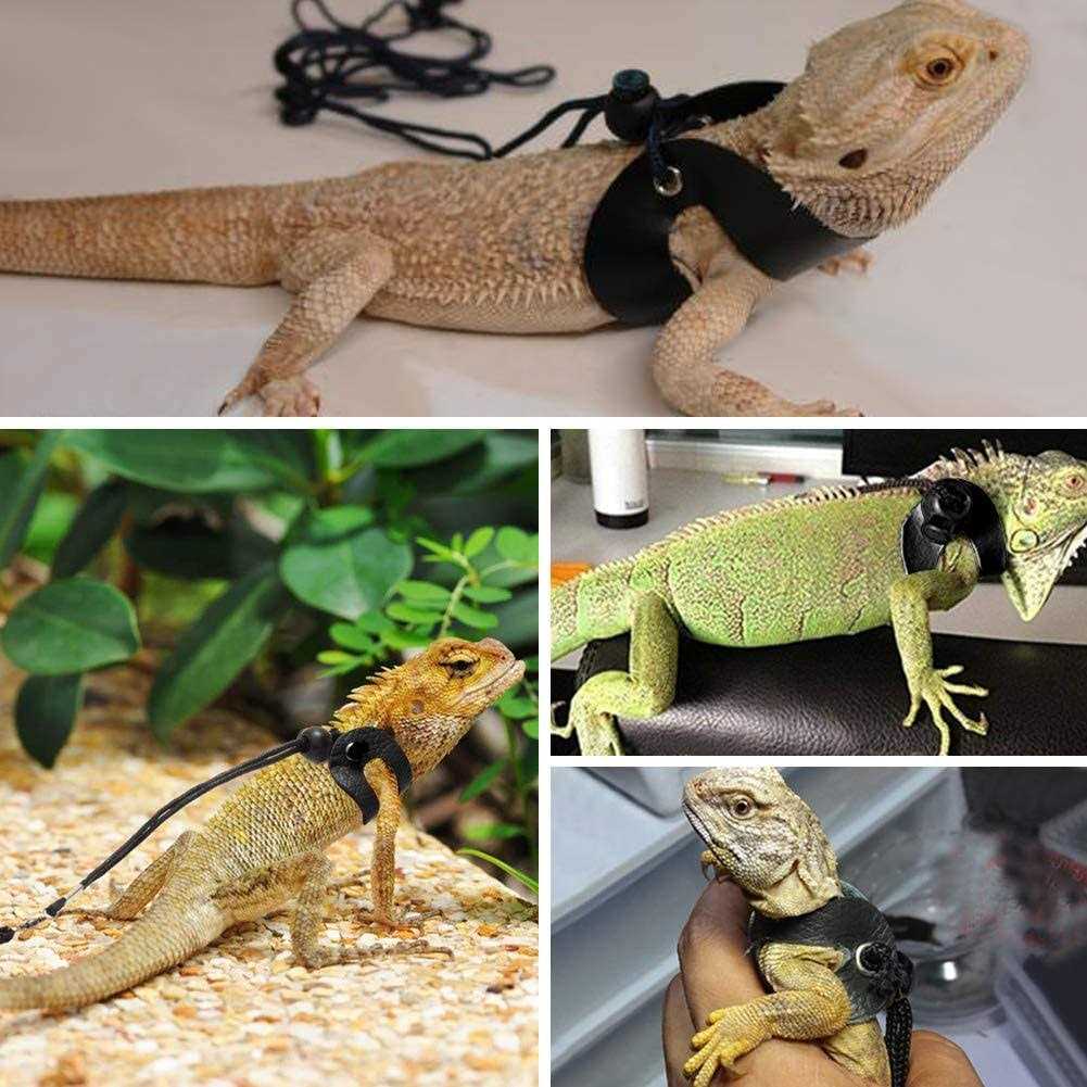 3 Packs Adjustable Soft Leather Bearded Dragon Harness and Leash V6845