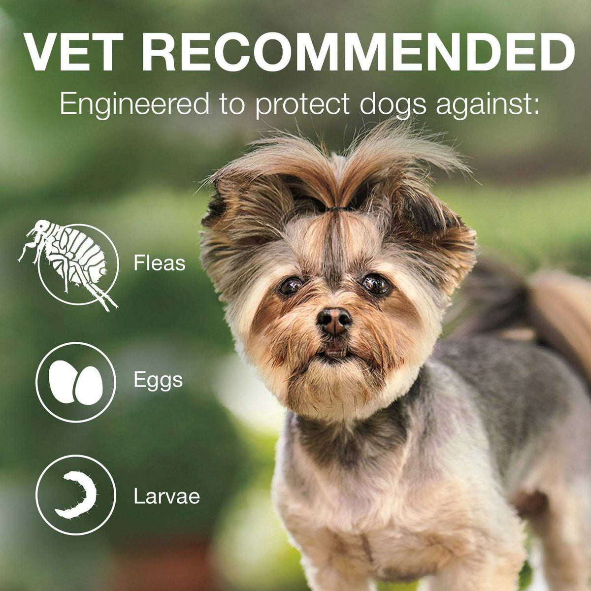 Advantage II for Dogs S524