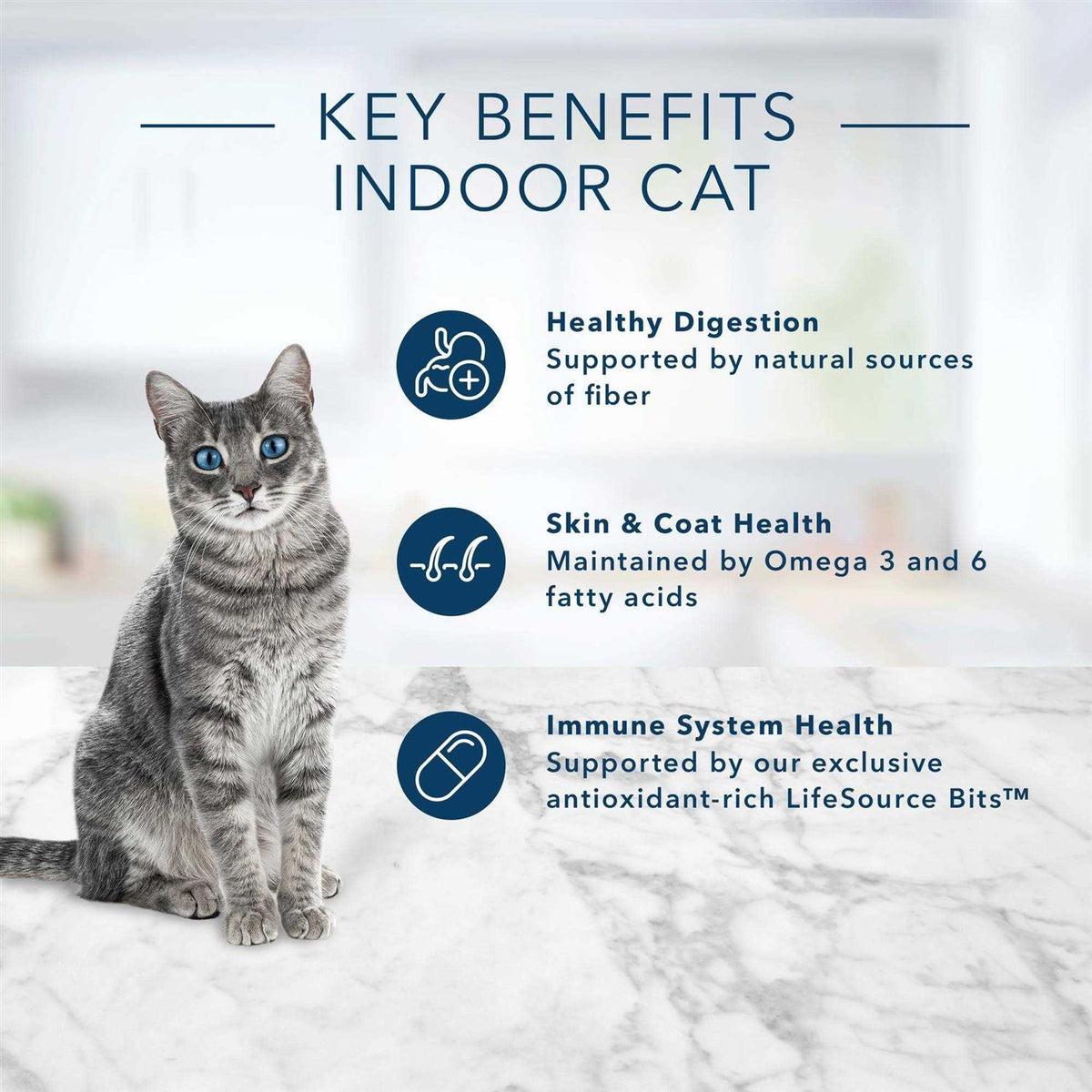 Adult Dry Cat Food Brown Rice U98739