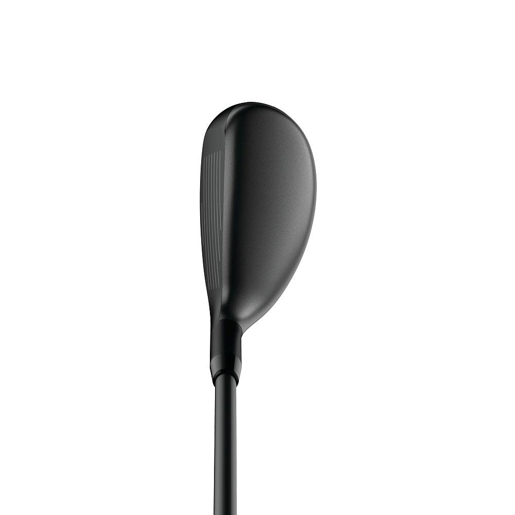 Hybrid T6189